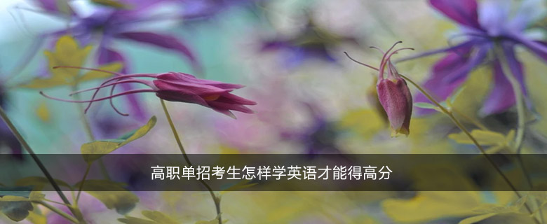 高職單招考生怎樣學(xué)英語才能得高分