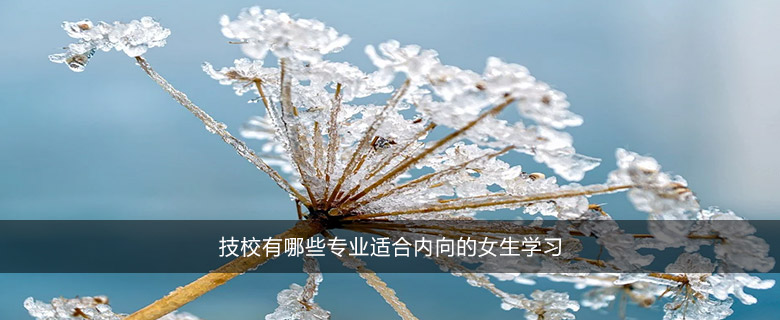 技校有哪些專業(yè)適合內(nèi)向的女生學(xué)習(xí)