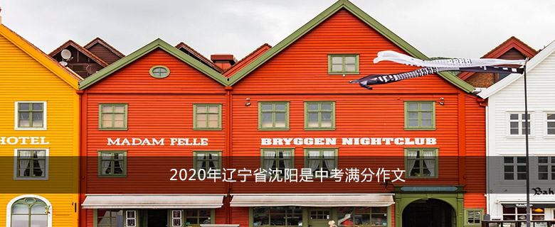 2020年遼寧省沈陽是中考滿分作文